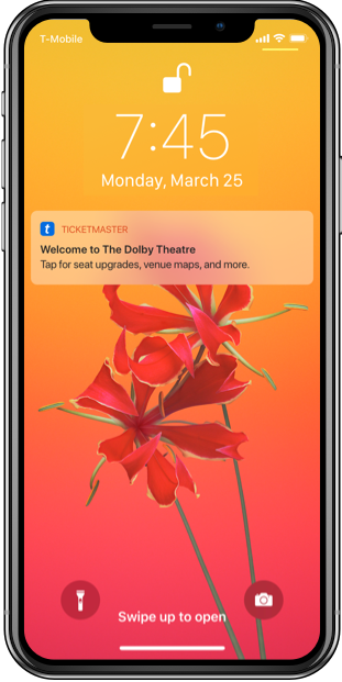 Post-entry notification after ticket scan
